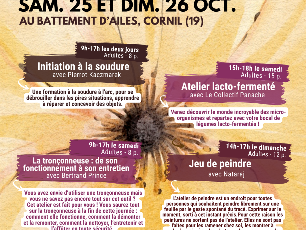 Le Battement d'Ailes : WEEK-END TRANSMISSION