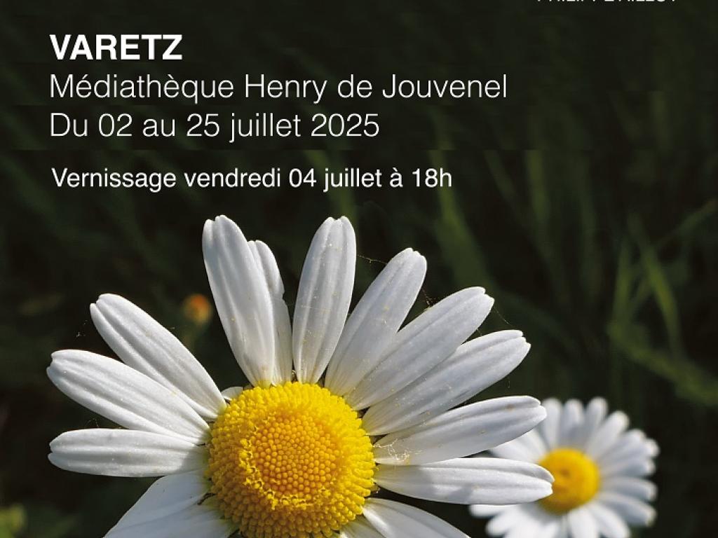 Exposition : Évasion photographique à la médiathèque de Varetz : une immersion poétique dans la nature corrézienne