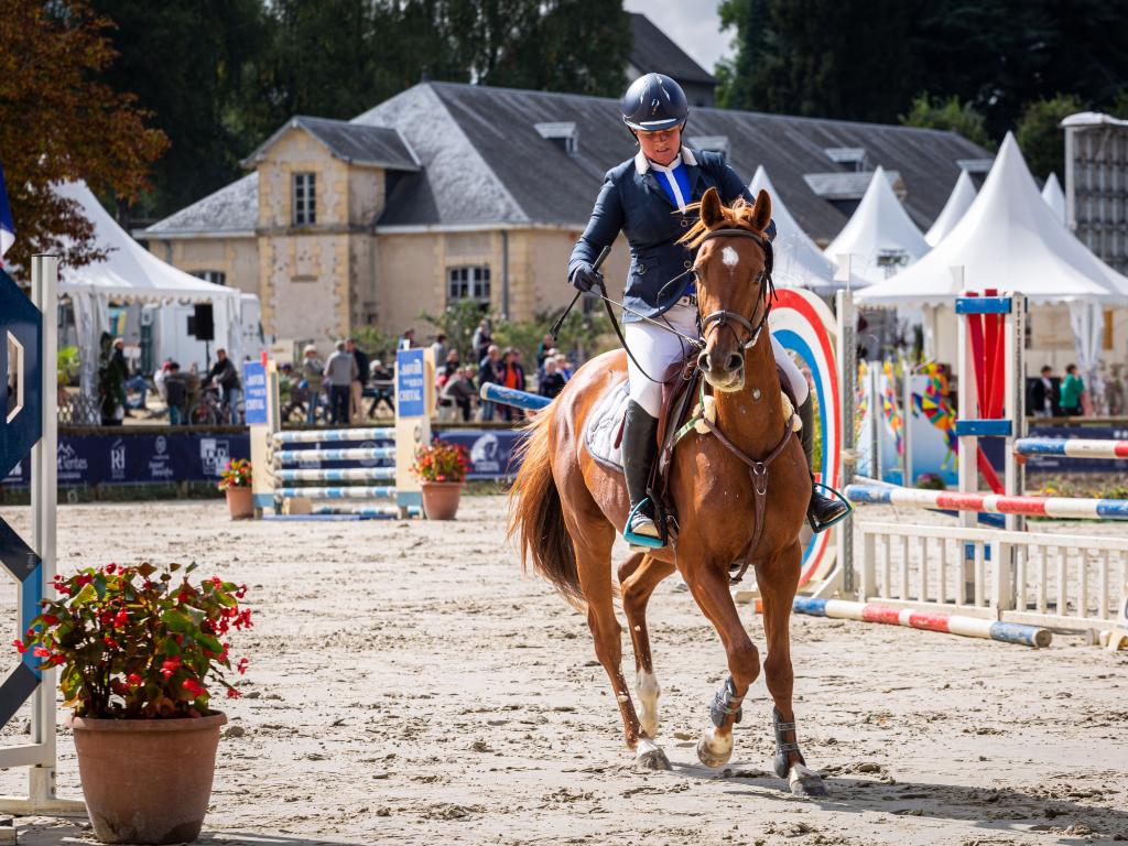 Les coulisses de la Journée du Cheval