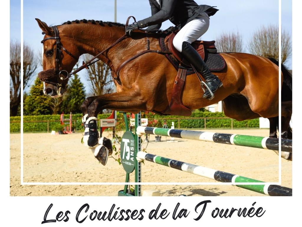 Les coulisses de la Journée du Cheval