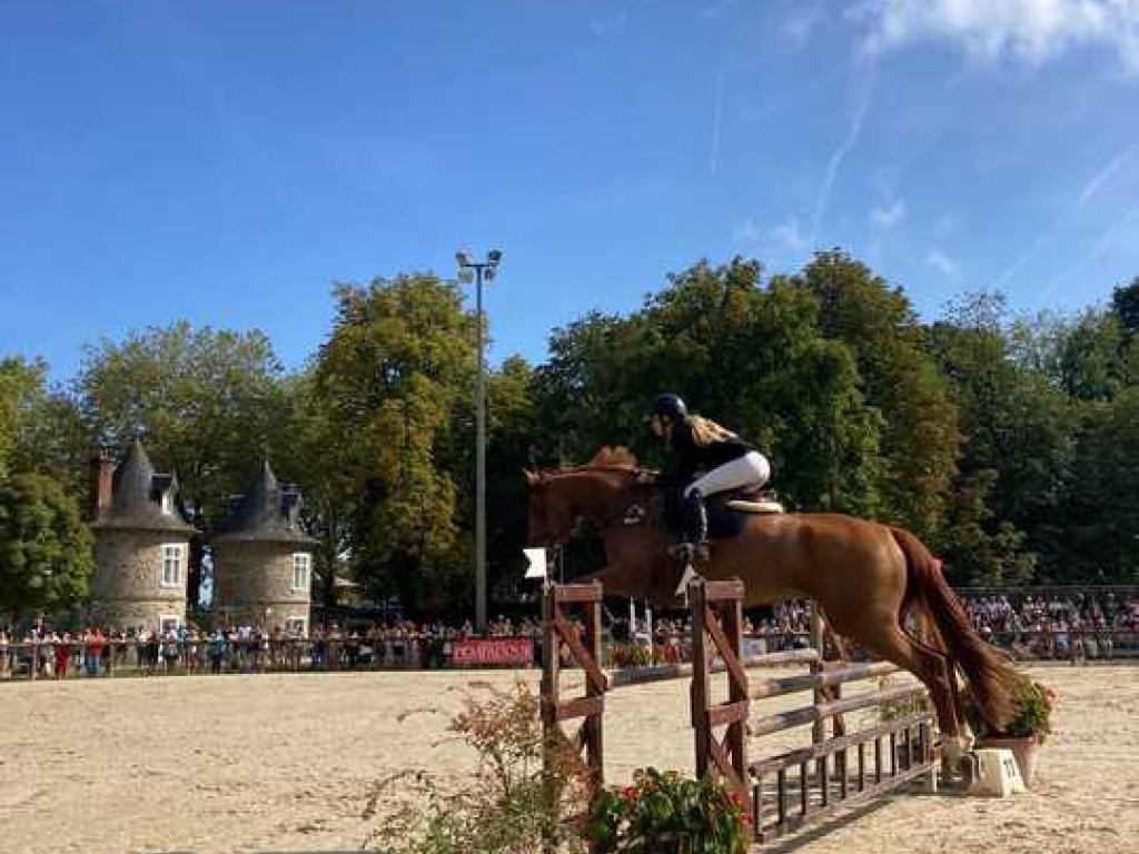 Les coulisses de la Journée du Cheval