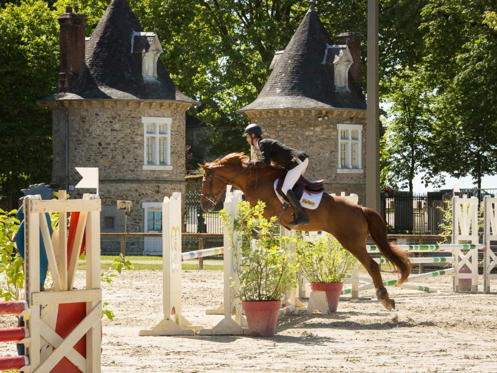 Les coulisses de la Journée du Cheval