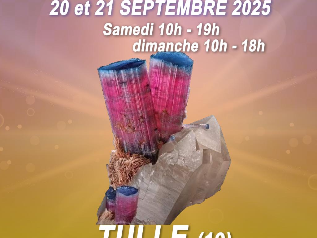 Salon des minéraux, fossiles, bijoux de créateur