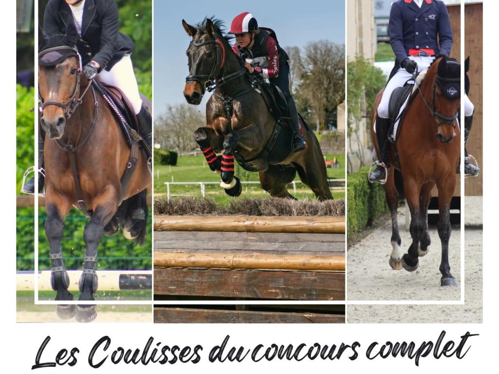 Visite - découverte du Concours Complet d'Equitation