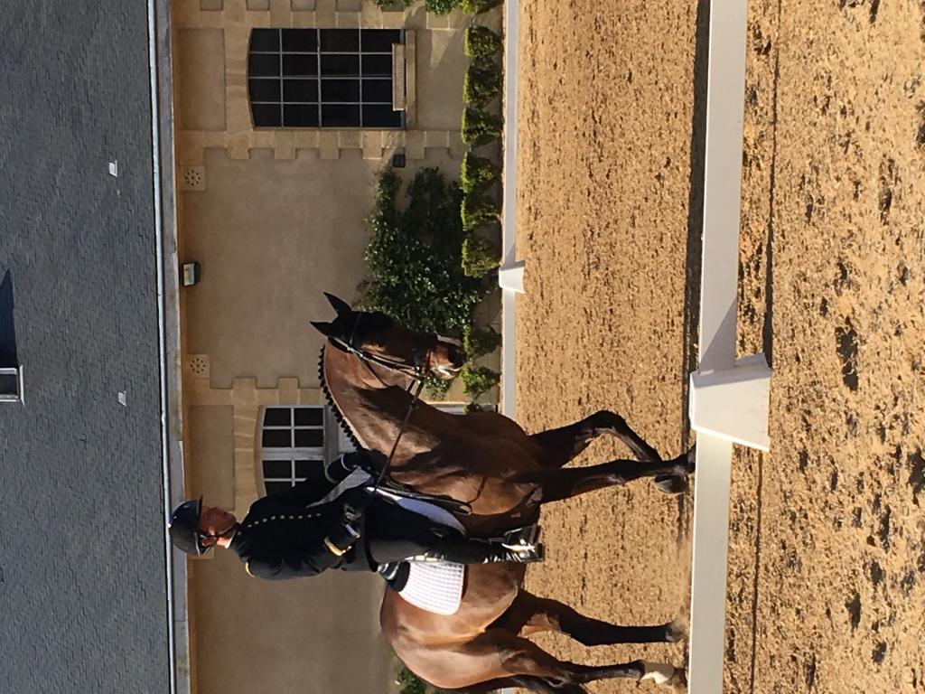 Visite - découverte du Concours Complet d'Equitation