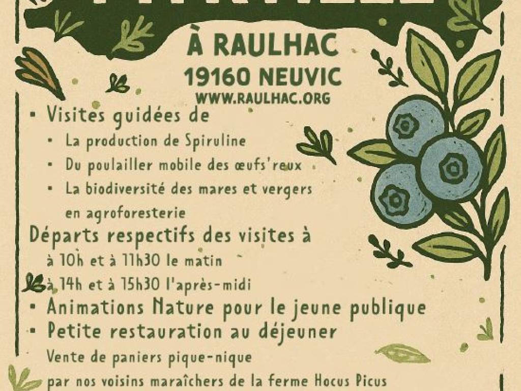 Fête de la myrtille
