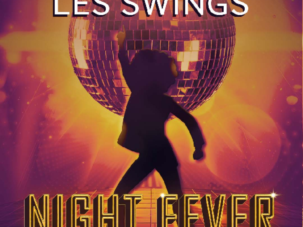 NIGHT FEVER - SPECTACLE DANSANT (Le Cabaret Gaillard)