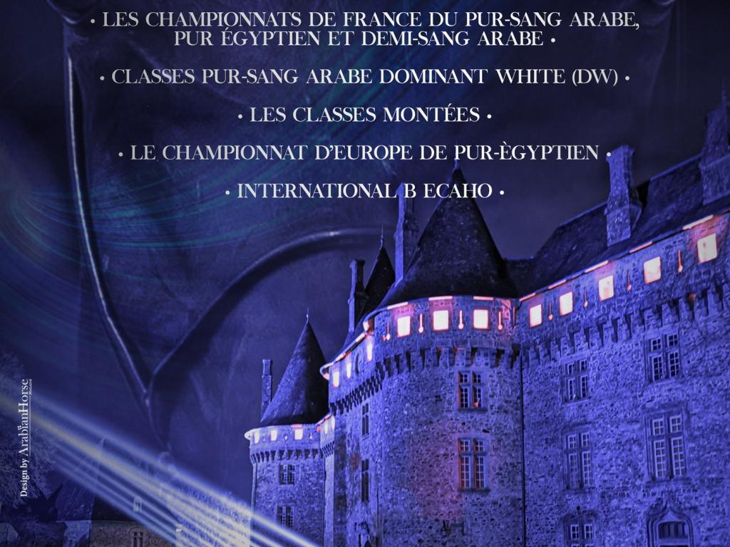 Grand show du cheval Arabe