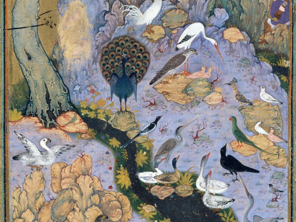 Spectacle Les oiseaux du fond de l'eau