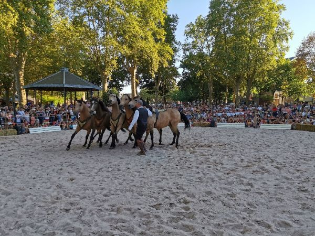 Spectacle en centre-ville: Supercho-Supershow