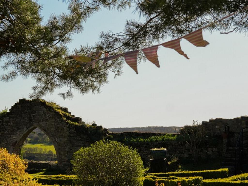 Lecture sous l'arbre au château
