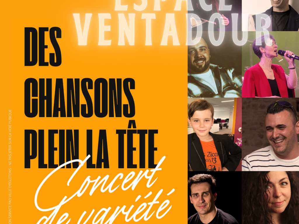 Des chansons plein la tête