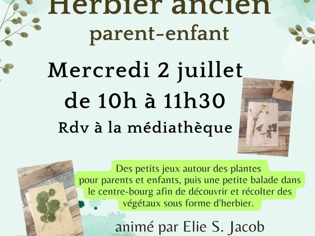 Atelier : Herbier