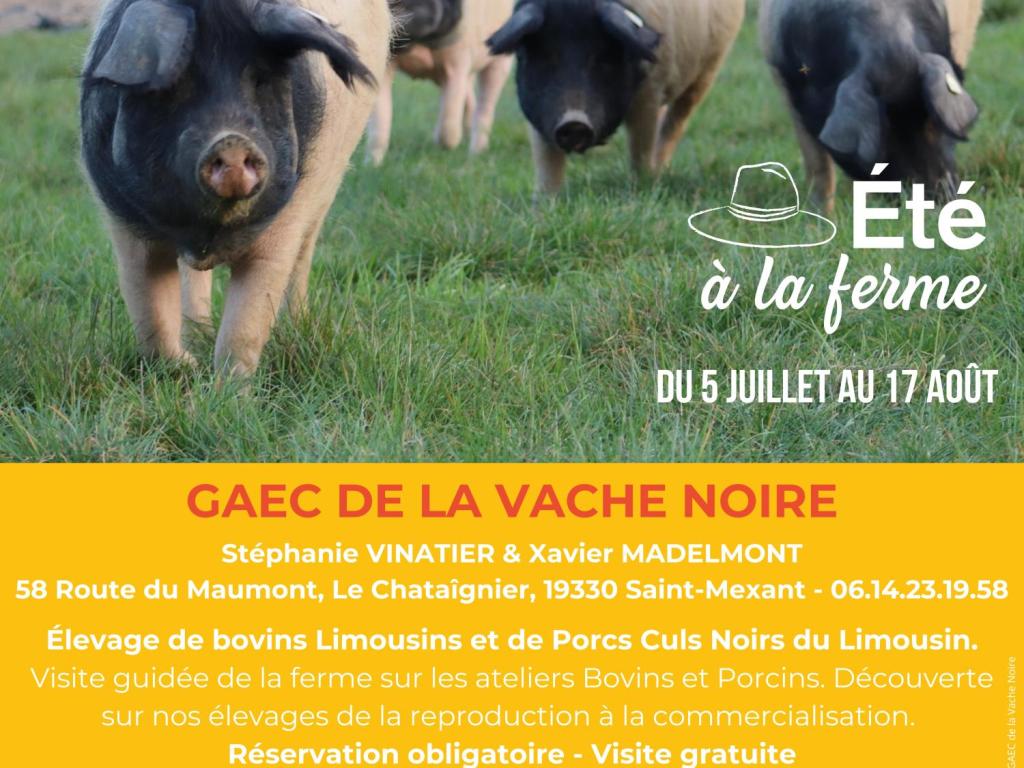GAEC DE LA VACHE NOIRE - ÉTÉ À LA FERME - BAF