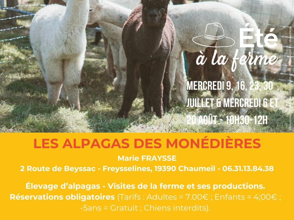 LES ALPAGAS DES MONÉDIÈRES - ÉTÉ À LA FERME - BAF