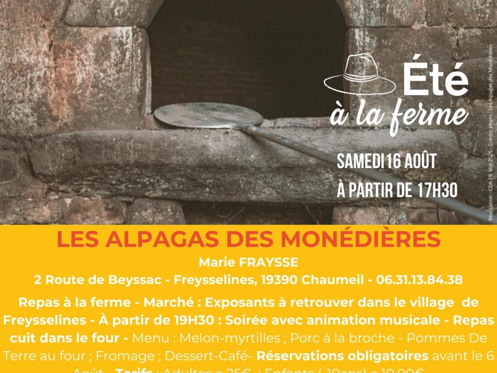 LES ALPAGAS DES MONÉDIÈRES - ÉTÉ À LA FERME - BAF