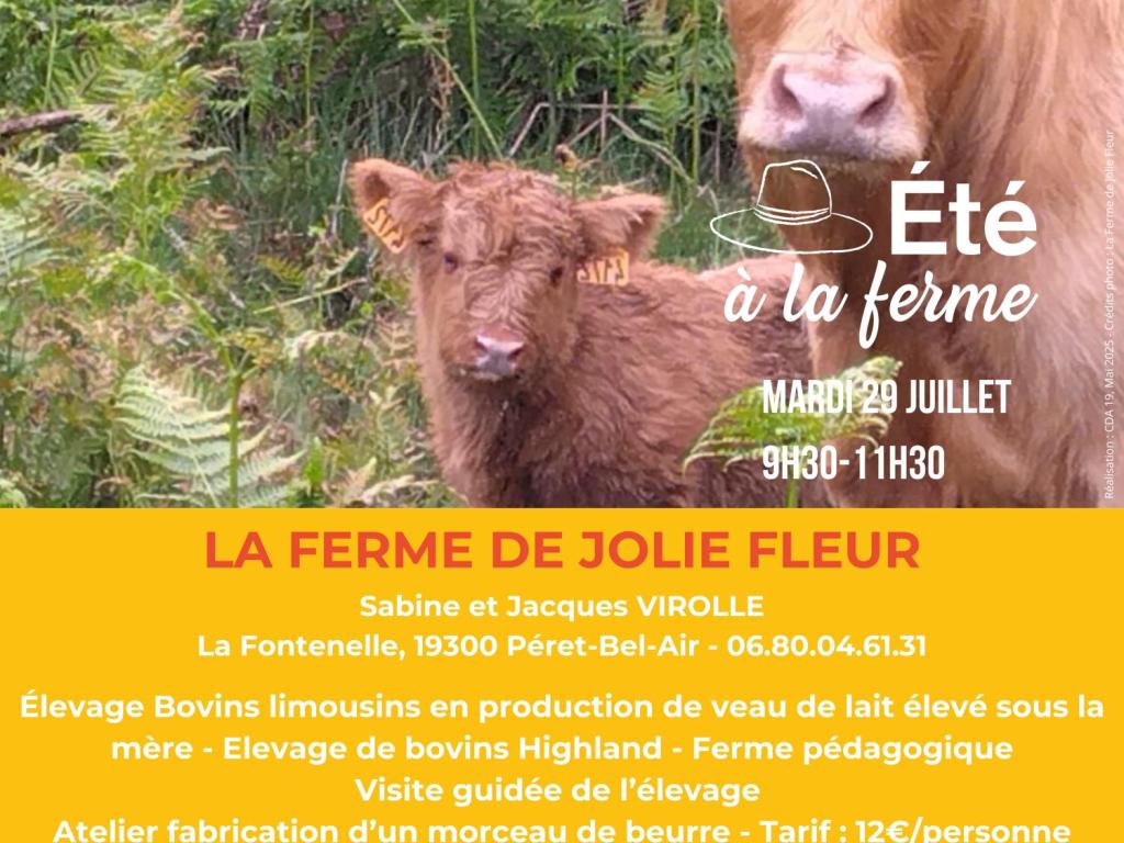 LA FERME DE JOLIE FLEUR - ÉTÉ À LA FERME - BAF
