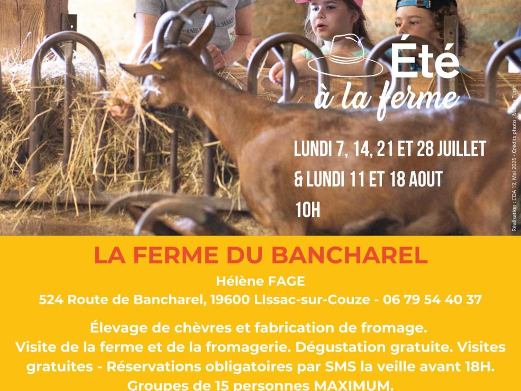 FERME DU BANCHAREL - ÉTÉ À LA FERME - BAF