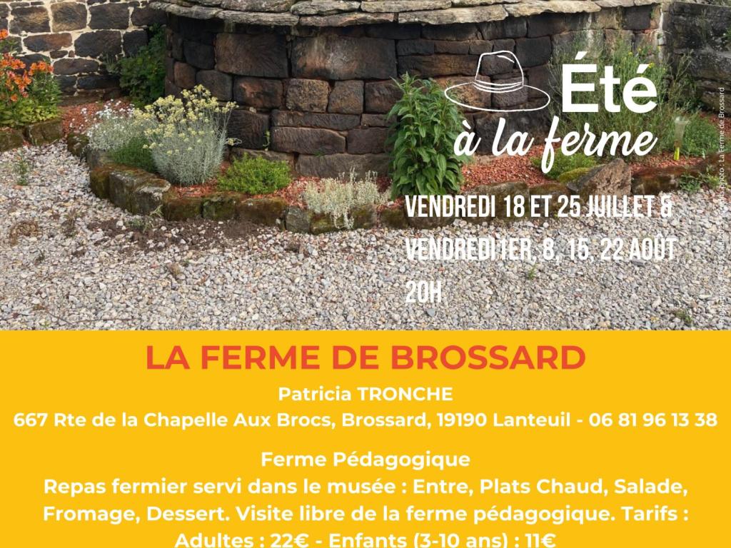 LA FERME DE BROSSARD - ÉTÉ À LA FERME - BAF