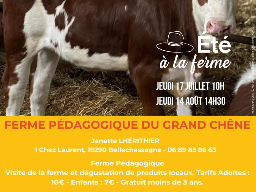 FERME PÉDAGOGIQUE DU GRAND CHÊNE - ÉTÉ À LA FERME - BAF