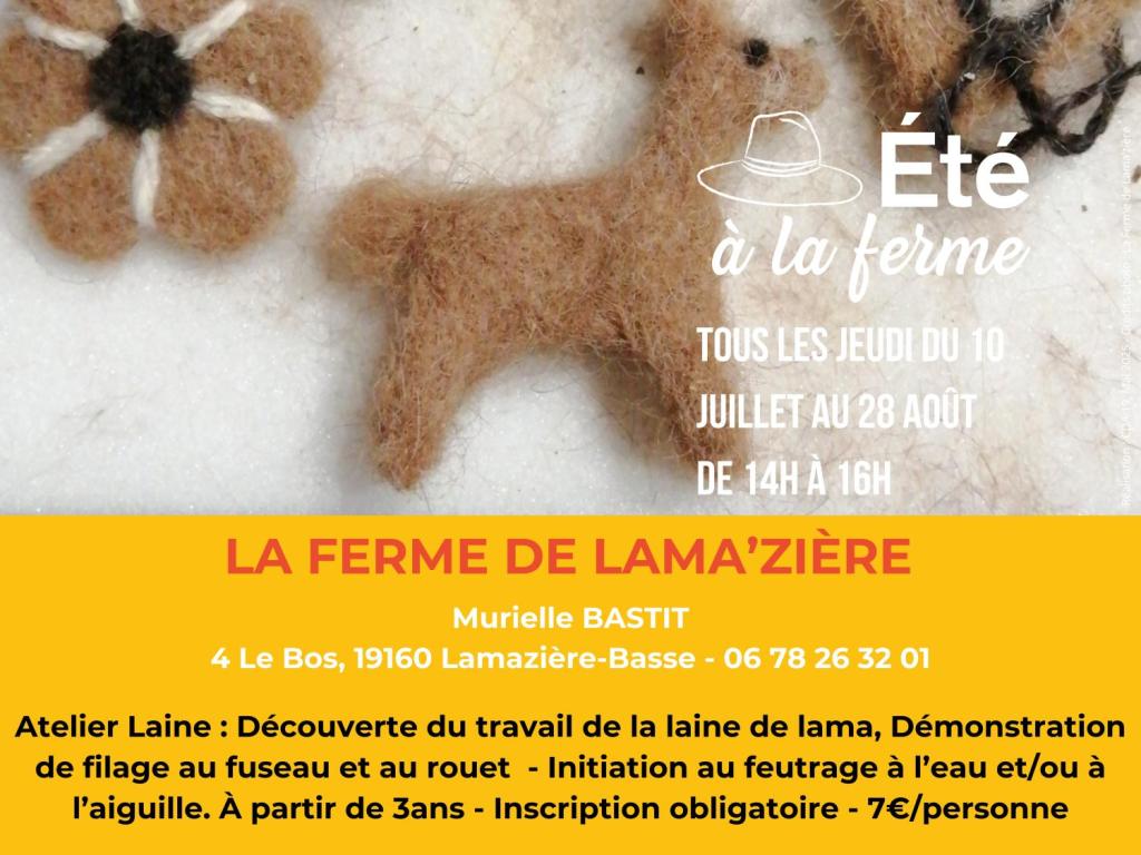 FERME DE LAMA'ZIÈRE - ÉTÉ À LA FERME - BAF