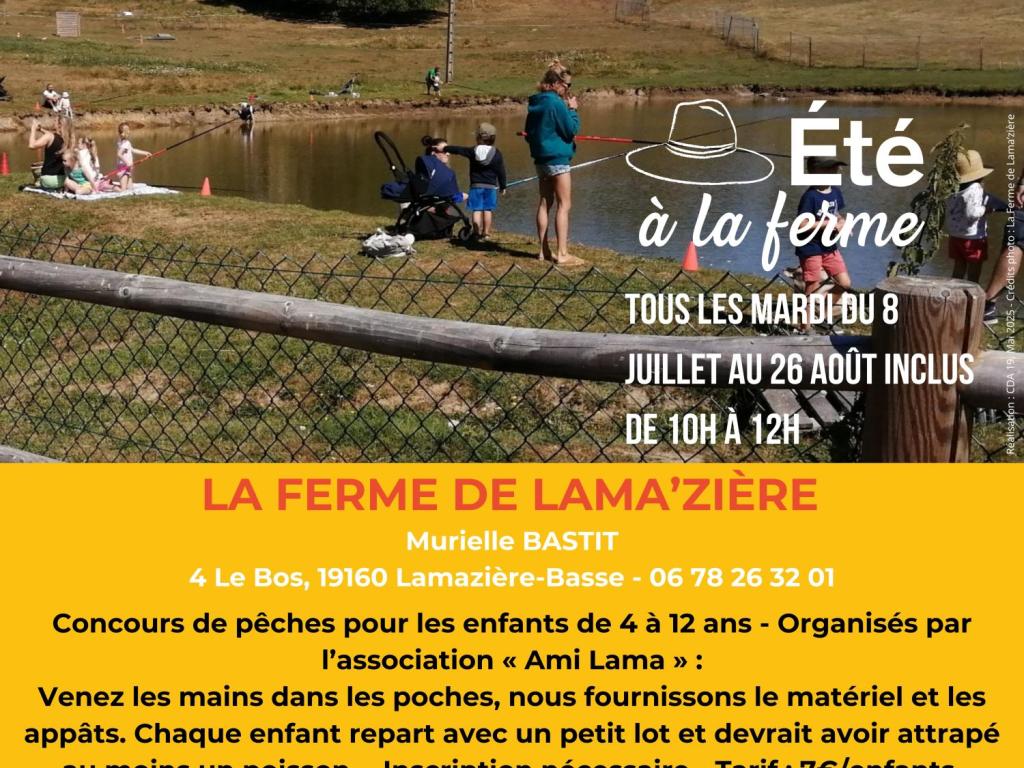 FERME DE LAMA'ZIÈRE - ÉTÉ À LA FERME - BAF