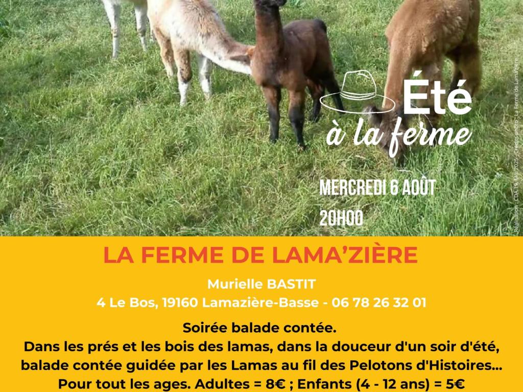 FERME DE LAMA'ZIÈRE - ÉTÉ À LA FERME - BAF