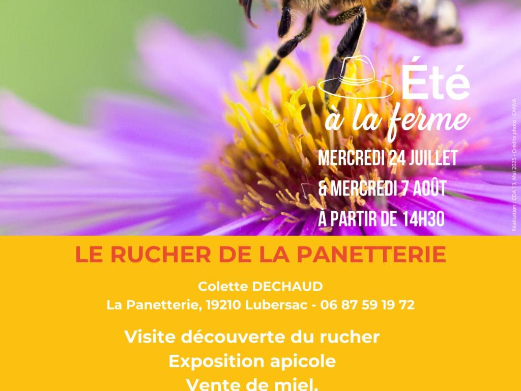 LE RUCHER DE LA PANETTERIE - ÉTÉ À LA FERME - BAF