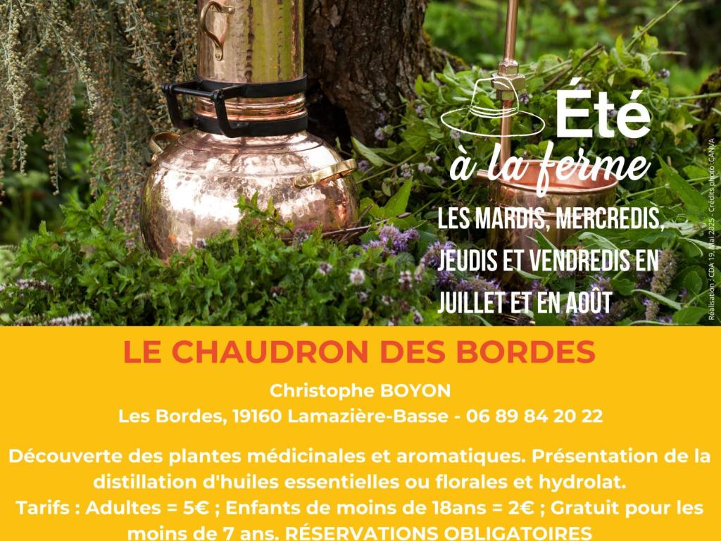 LE CHAUDRON DES BORDES - ÉTÉ À LA FERME - BAF