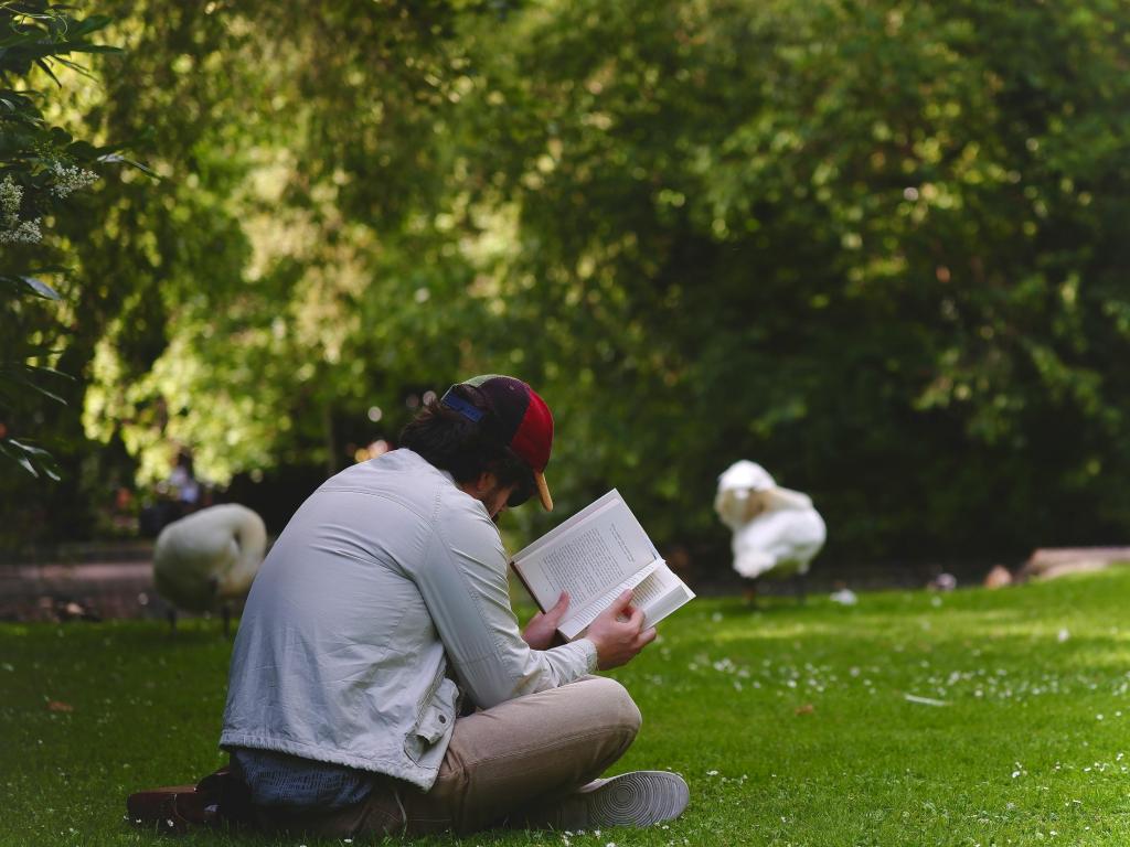Club lecture - Les lectures de l'été