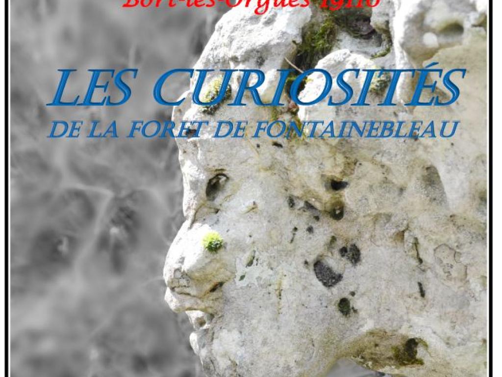 Exposition photo "Les curiosités de la forêt de Fontainebleau"