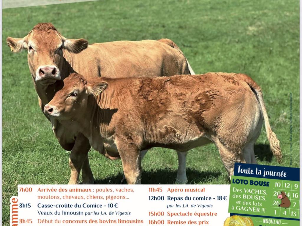 Comice agricole cantonal