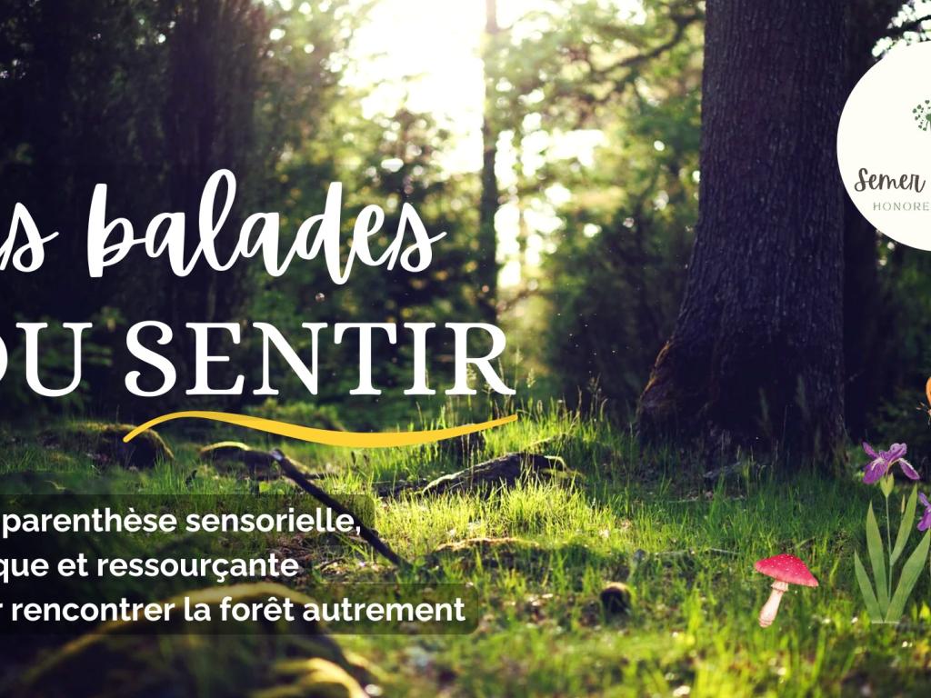 Les balades du sentir Meyrignac l'Eglise
