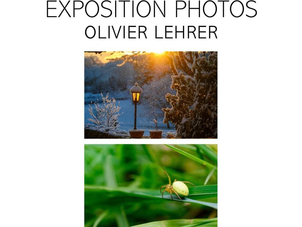 Exposition photos Olivier Lehrer
