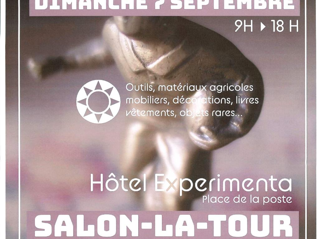 Brocante à Salon-La-Tour