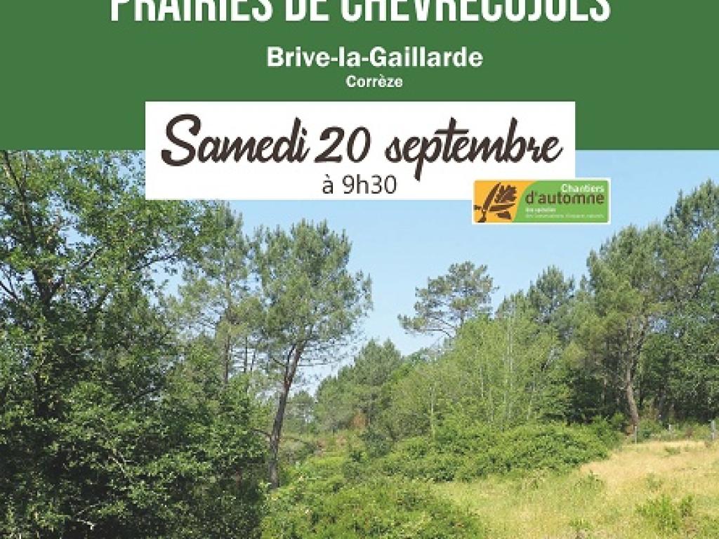 Entretien des pelouses et prairies de Chèvrecujols