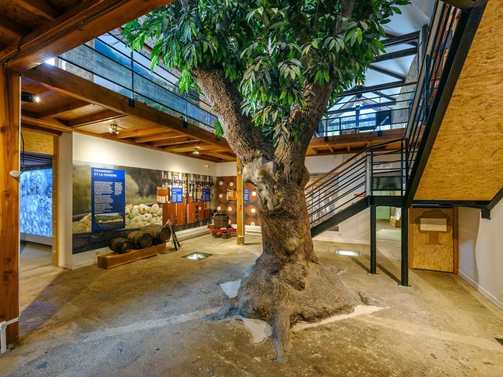 Journées du Patrimoine à la Maison de l'Arbre