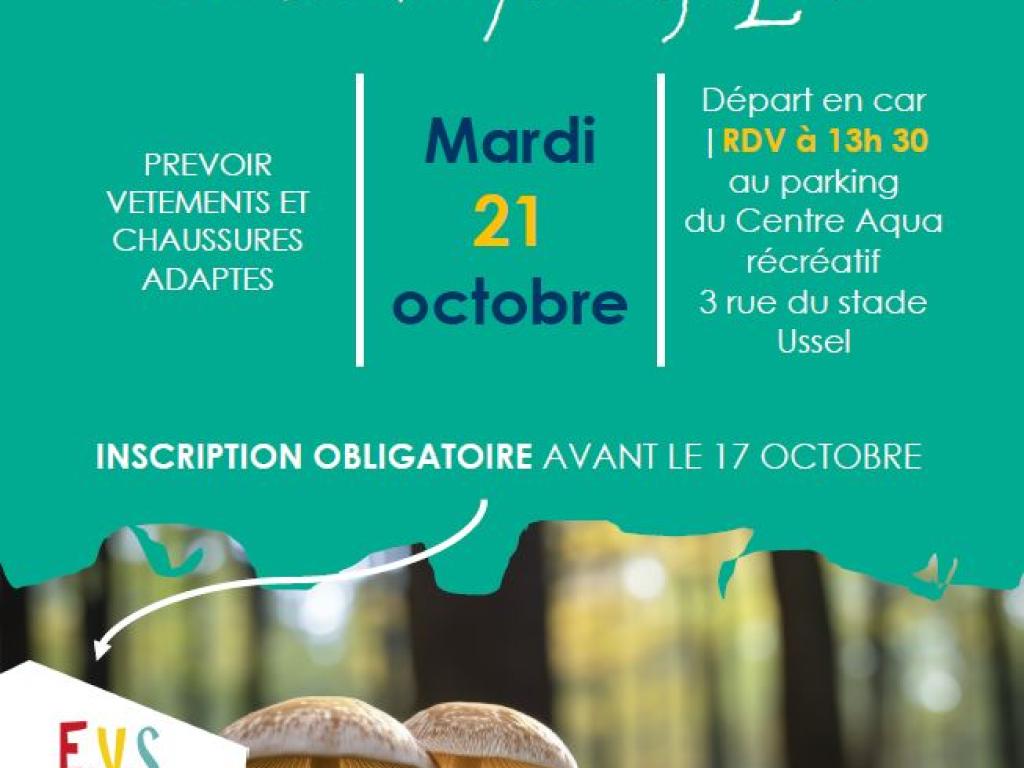 Sortie mycologique