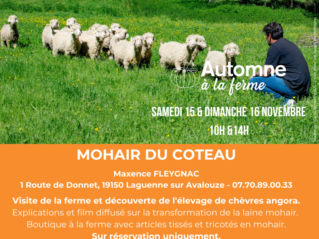 Automne à la Ferme - Mohair du Coteau