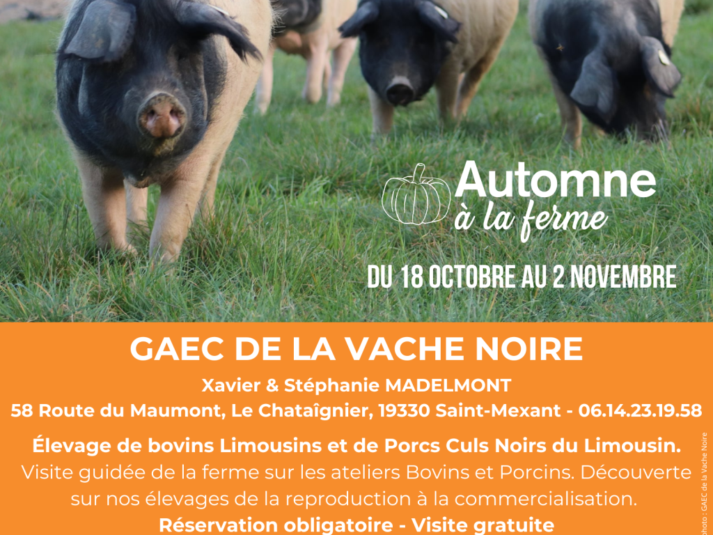Automne à la ferme - GAEC de la Vache Noire
