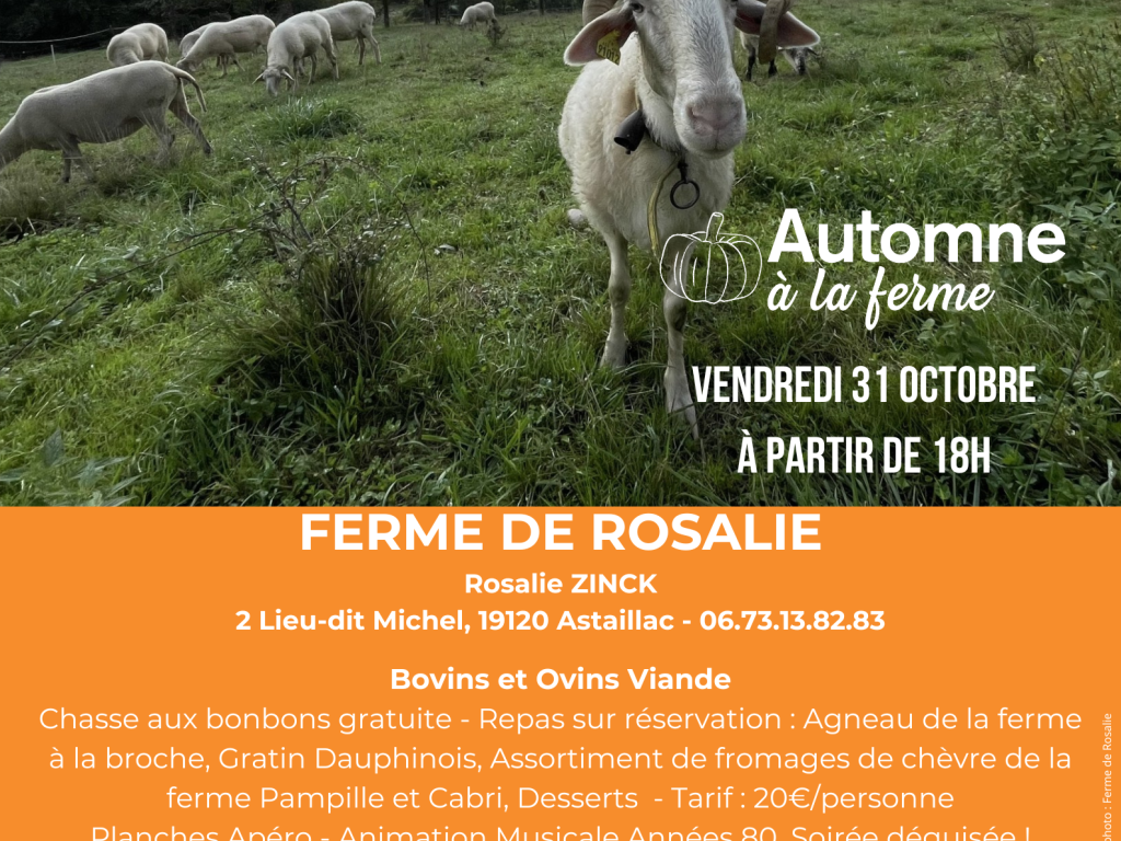 Automne à la ferme - Ferme de Rosalie