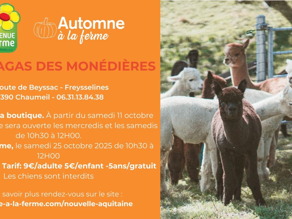 Automne à la ferme - Les Alpagas des Monédières