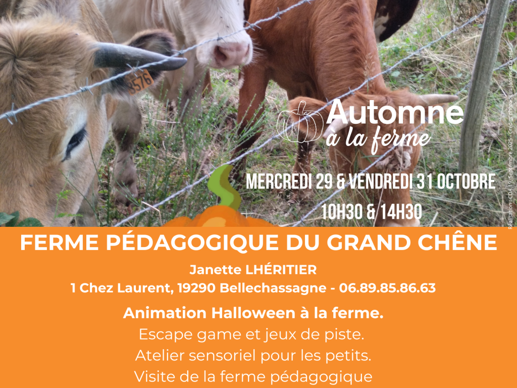 Automne à la ferme - Ferme Pédagogique du Grand Chêne