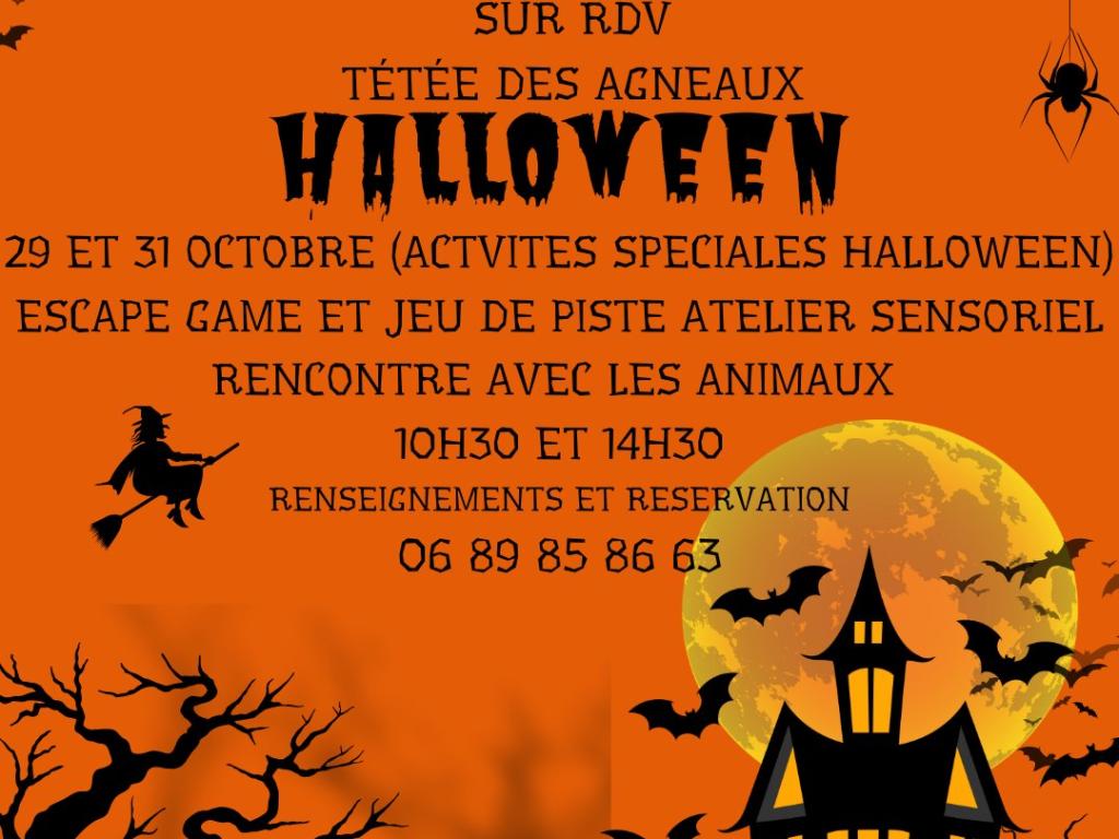 Halloween à la ferme