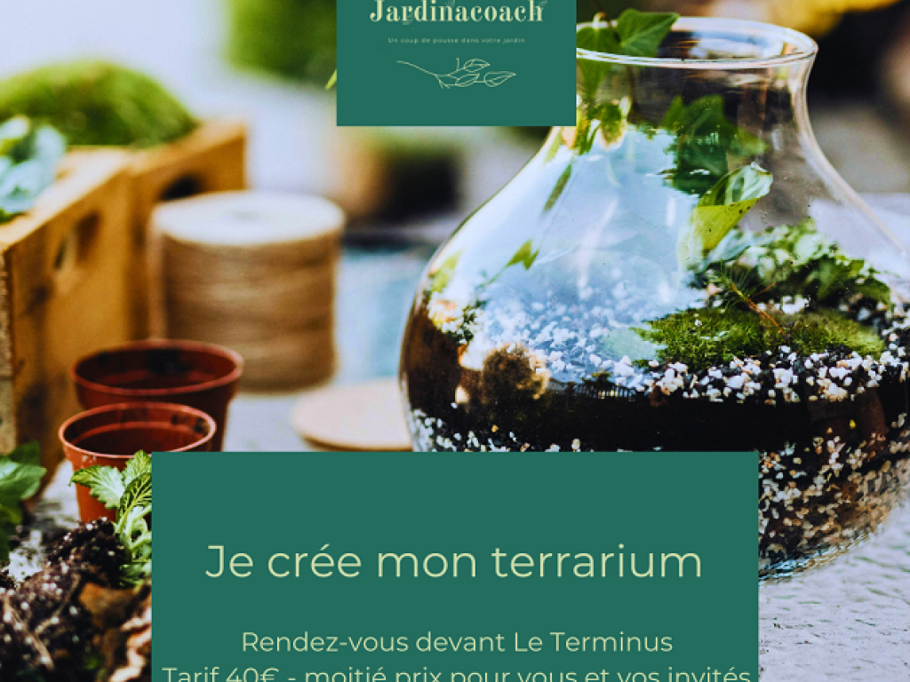 Je crée mon propre terrarium