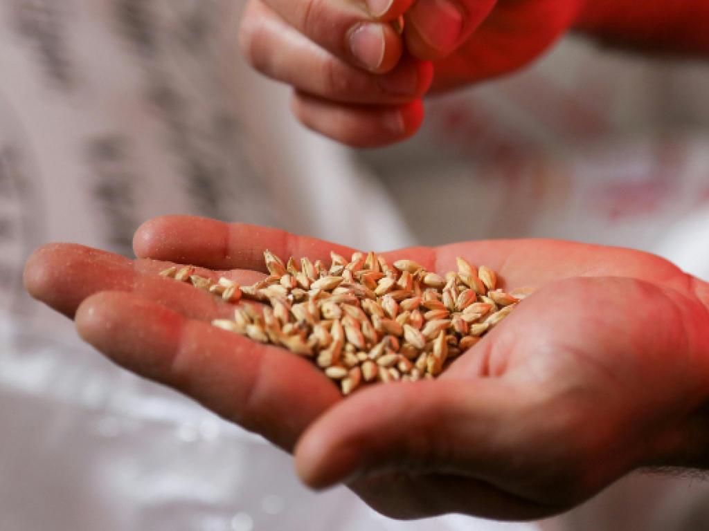 Atelier "Récolte et conservation de graines" Atelier "Récolte et conservation de graines"