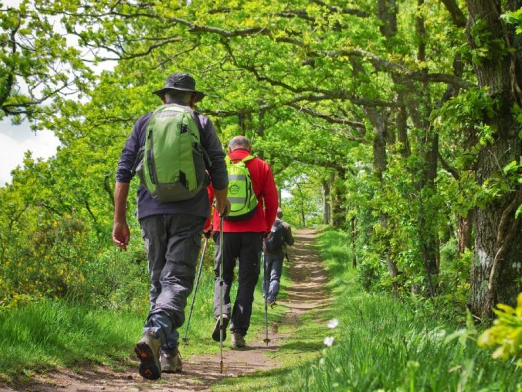 Randonnée accompagné