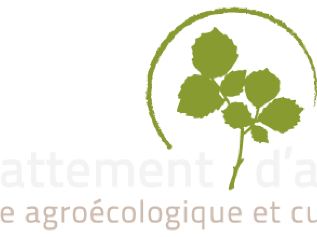 Week-end Transmission