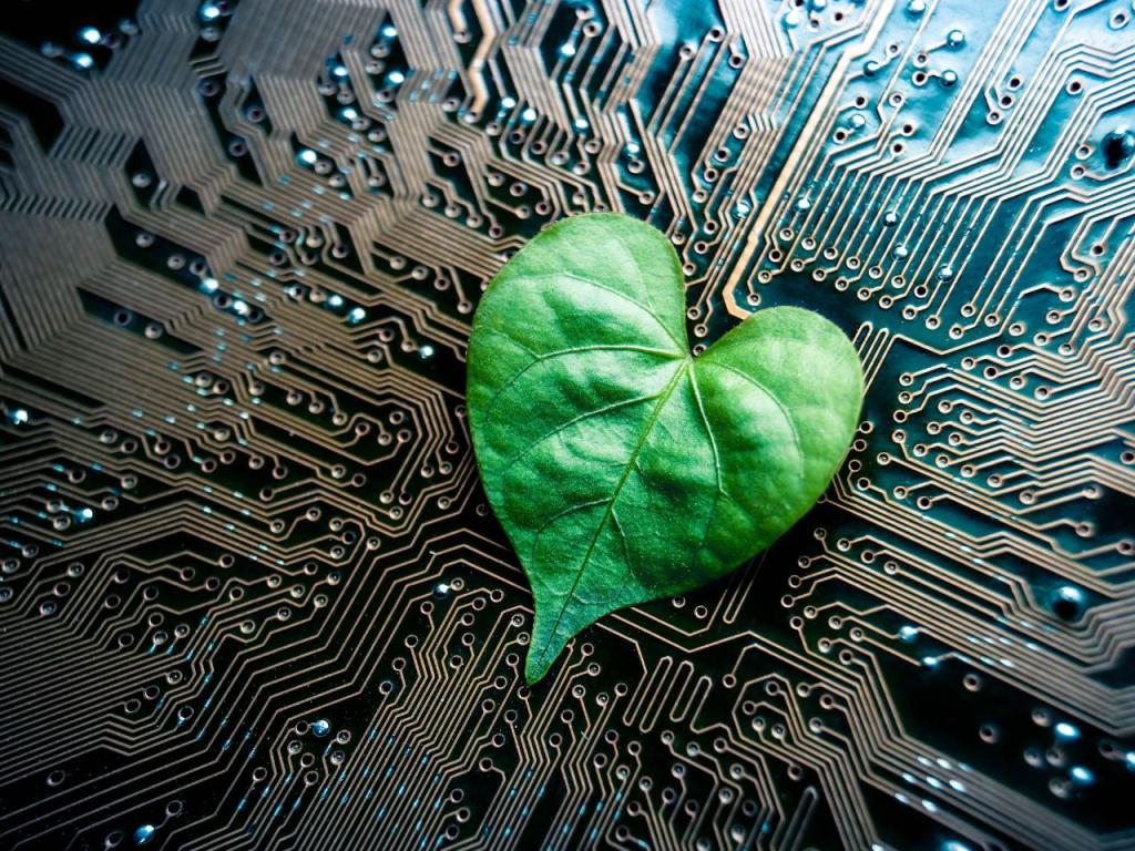 Atelier numérique Gratuit : Mieux utiliser le numérique pour préserver demain