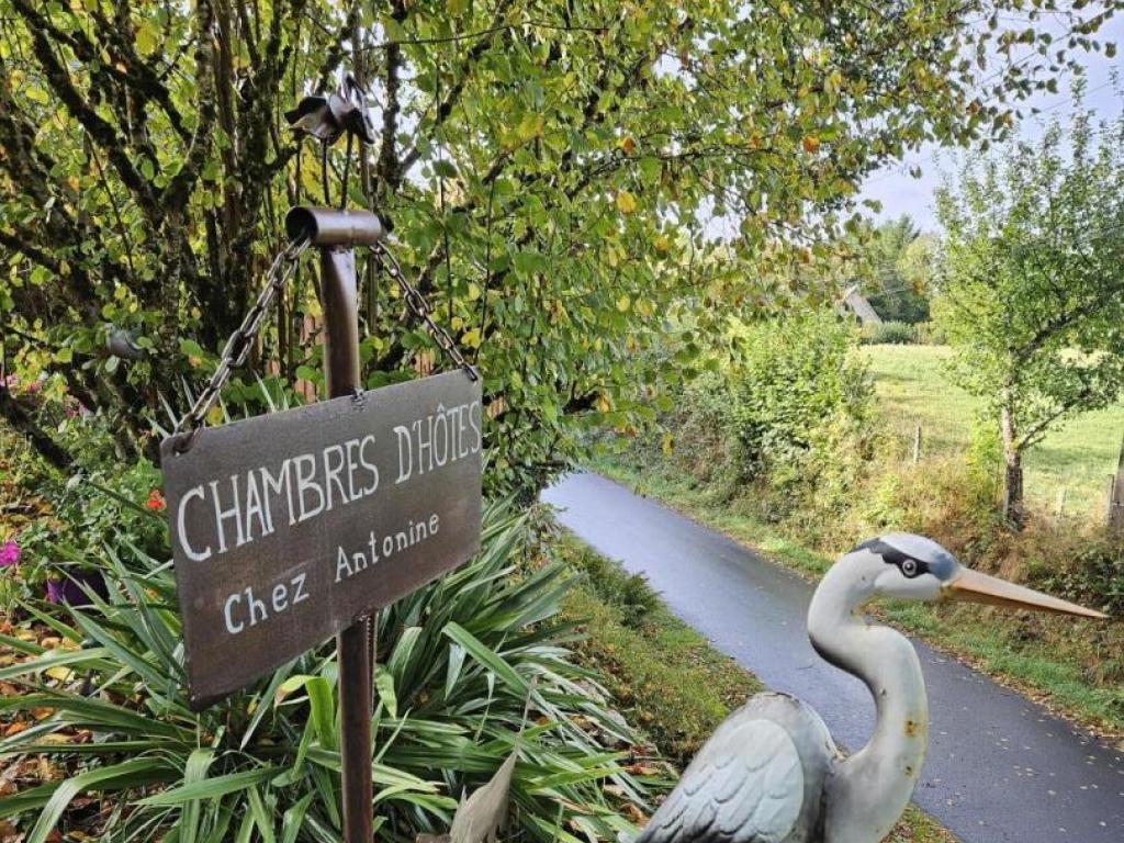 Les Chambres d'Antonine